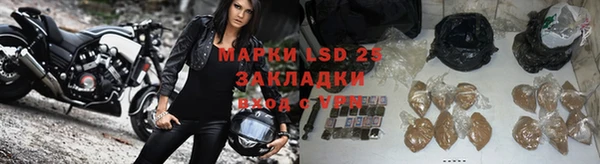 мяу мяу мука Алзамай